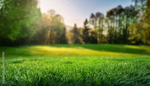 Newly sprouted green grass, vibrant and fresh, with a gentle blur of garden trees and bushes