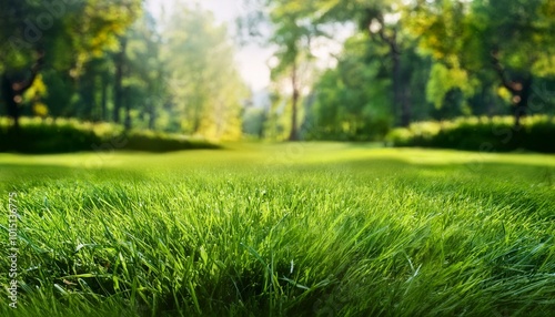 Newly sprouted green grass, vibrant and fresh, with a gentle blur of garden trees and bushes