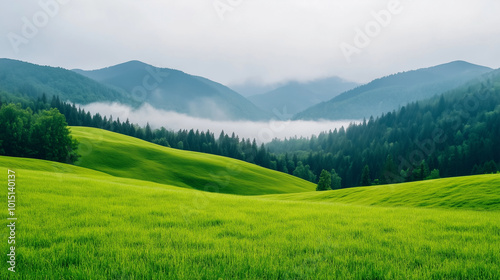 landscape with green grass and mountains