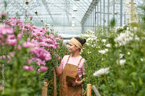 Side view portrait of smiling young woman working in flower plantation and wearing apron walking between flowerbeds in spacious greenhouse #1015141554