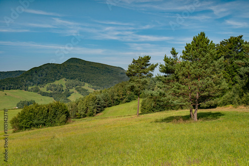 Fototapeta Naklejka Na Ścianę i Meble -  lackowa, beskid niski
