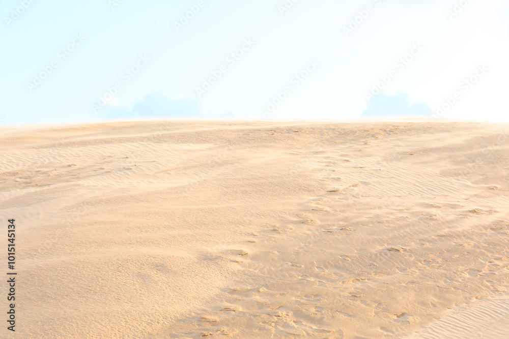 wind whipping sand from the sandy desert dunes wind whipping sand from the sandy desert dunes