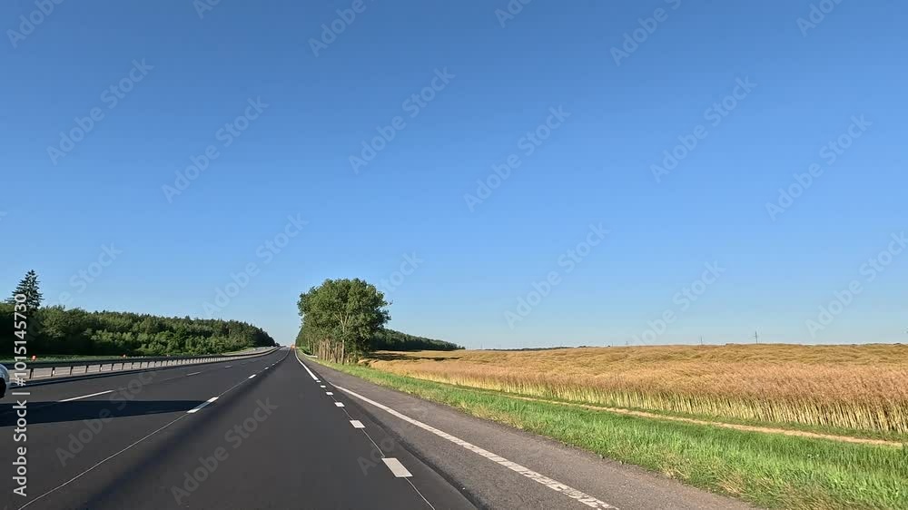 Road view on a summer day. Highways and cars, roadside and white road line markings. Road view on a summer day. Highways and cars, roadside and white road line markings.