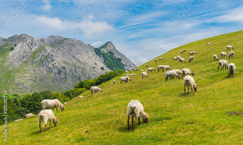 Dias de pasto a los pies del Anboto