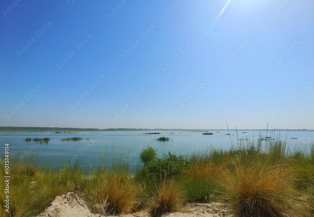A Freshwater lake in Pakistan in Indus River Basin, Vital habitat for numerous species of fish, birds, reptiles and aquatic plants, refuge for Wildlife Flora Fauna A Freshwater lake in Pakistan in Indus River Basin, Vital habitat for numerous species of fish, birds, reptiles and aquatic plants, refuge for Wildlife Flora Fauna