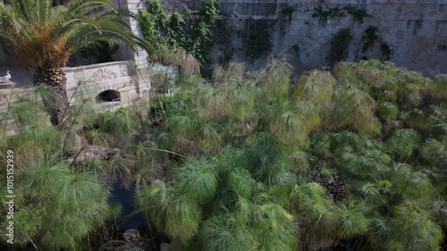 The Fountain of Arethusa (Fonte Aretusa) with growing papyrus plant in the historical centre of the city of Syracuse on the island of Ortygia (Ortigia), Sicily, Italy photo