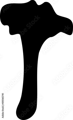 Mushroom silhouette icon vector image. Big set of mushroom - Edible and non-edible mushrooms. Vector illustration