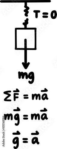 newton law Physics force and law of motion
