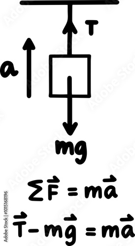 newton law Physics force and law of motion