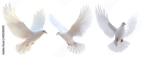 White Doves in Flight
