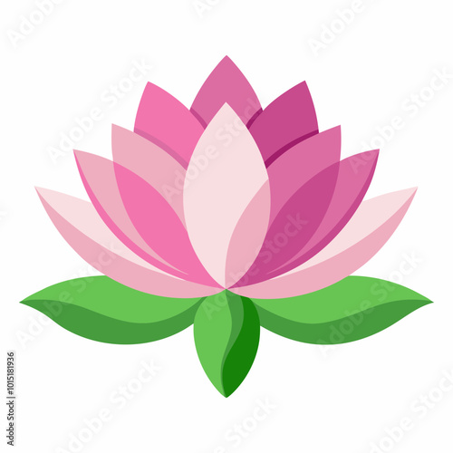 lotus flower isolated on white background
