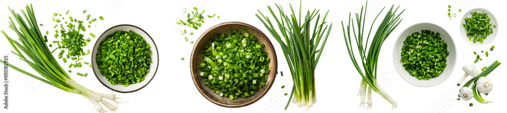 Set of a Chives, fresh green chive flowers, and chopped chives, isolated on a transparent background. Set of a Chives, fresh green chive flowers, and chopped chives, isolated on a transparent background.