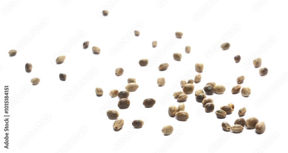 Hemp seeds scattered isolated on white background, side view Hemp seeds scattered isolated on white background, side view