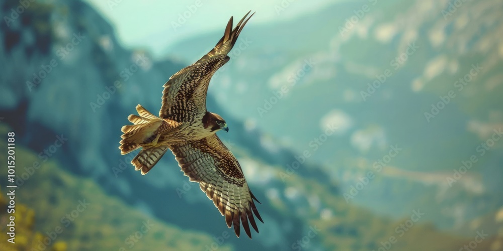 Obraz premium Hawk in Flight Over Mountainous Landscape