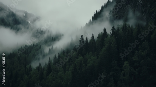 Dense, misty forest cloaked in ethereal fog, creating a sense of mystery and wonder.