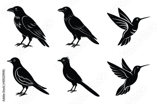 A Collection of Flying and Perching Birds silhouette