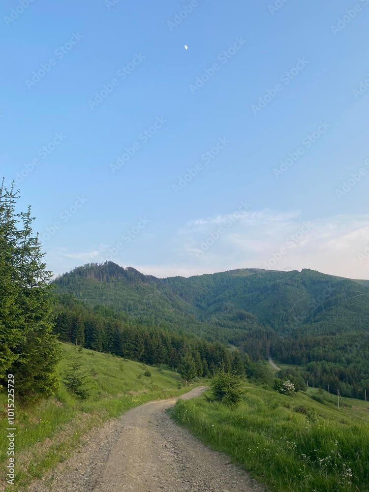 Majestic Forest and Mountain Landscape in Zakarpattya Majestic Forest and Mountain Landscape in Zakarpattya