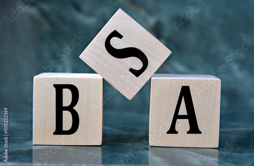 Canvas Print BSA - acronym on wooden cubes on blue background