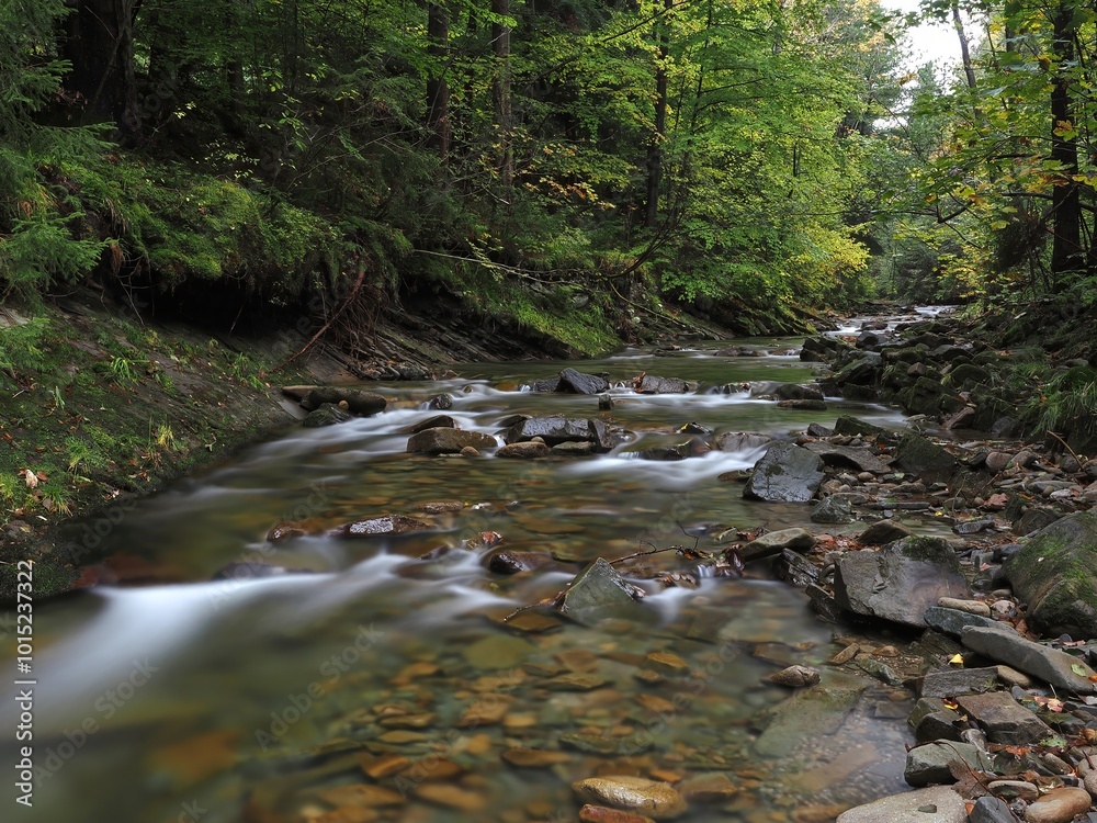 Dolina Zimnika - Beskid Śląski 
Górski potok z kaskadami
