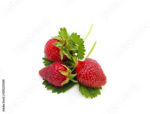 Wallpaper Mural Ripe strawberry with leaves. Torontodigital.ca