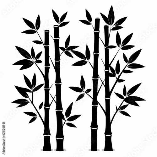 Vector drawing of bamboo and leaves