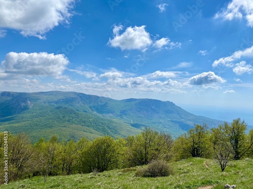 beautiful spring mountain landscape with blue sky