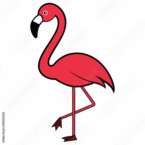 flamingo illustration