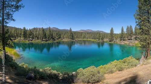 A panoramic view of a serene lake surrounded by pine trees and mountains under a clear blue sky.