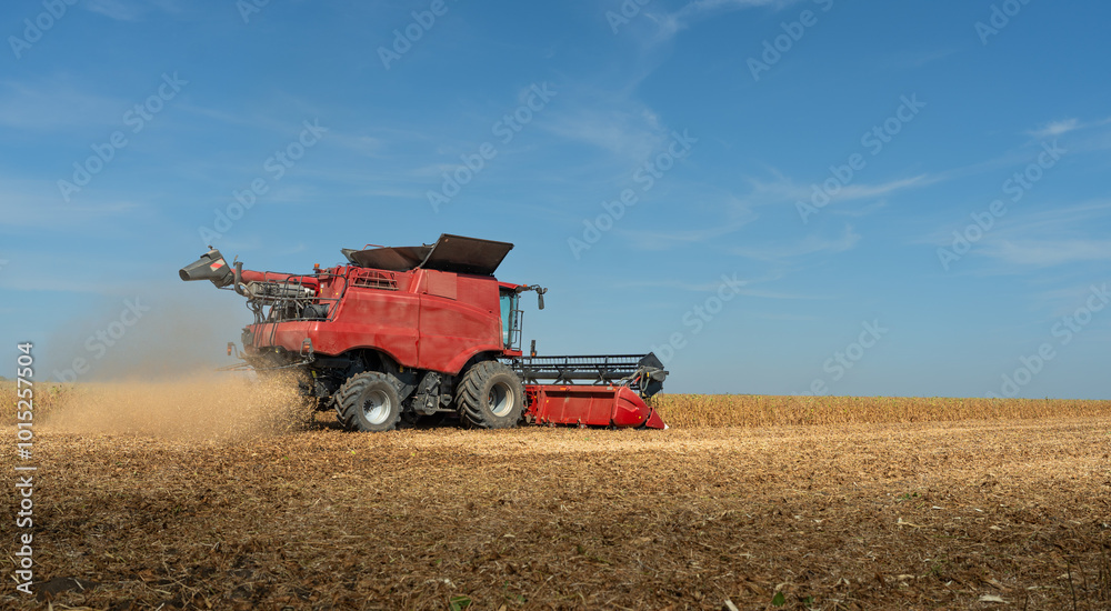Fototapeta premium Harvesting combine in the wheat.