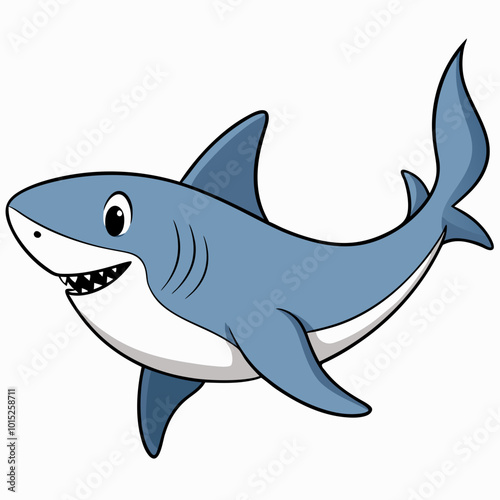 illustration of shark