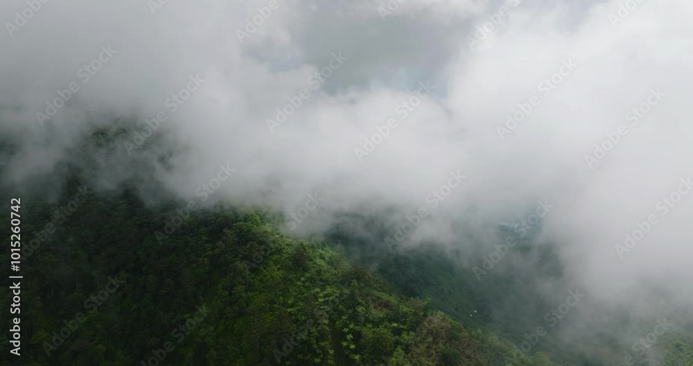 Misty forest and clouds above the mountain. Tropical rianforest ecosystem, nature background footage. Mindanao, Philippines. Misty forest and clouds above the mountain. Tropical rianforest ecosystem, nature background footage. Mindanao, Philippines.