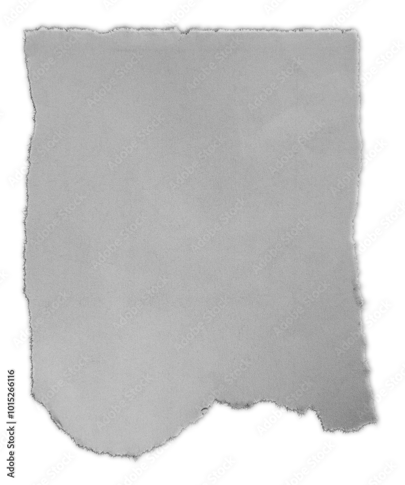 Obraz premium One piece of torn paper isolated on white background