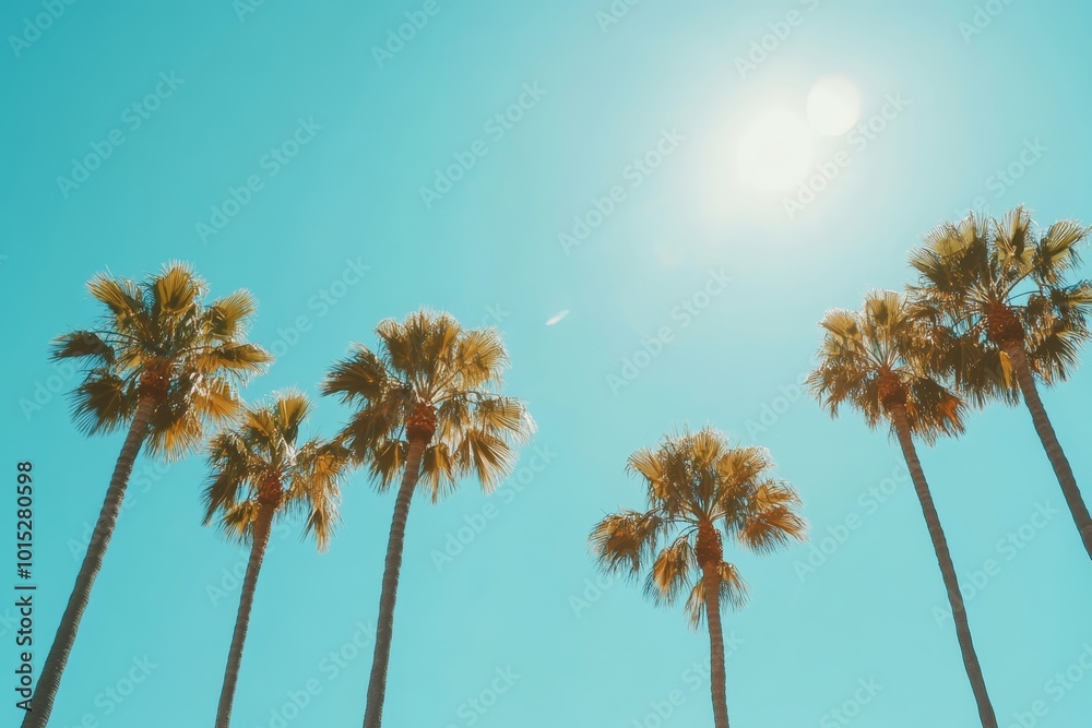 Obraz premium Several palm trees stand tall against a vibrant blue sky with a bright sun shining down on a warm summer day