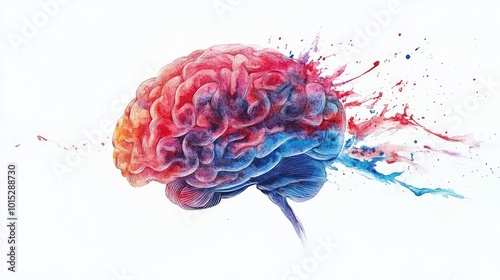 watercolor brain illustration beautiful abstract brain