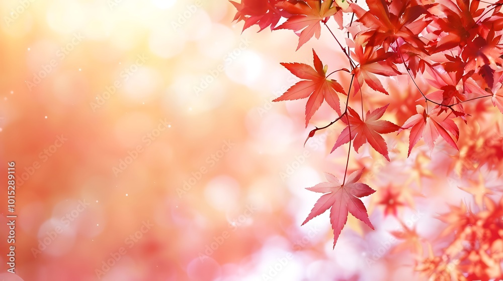 Beautiful red maple leaves on blurred background with bokeh effect Beautiful red maple leaves on blurred background with bokeh effect