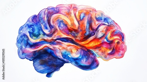 watercolor brain illustration beautiful abstract brain