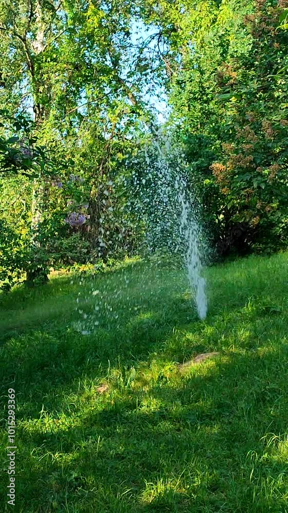 Irrigating water fountain in garden park, sunny spring summer day. Watering fountain in green grass in clearing between bushes trees green leaves. Moisturizing humidifying Irrigation system Vertical Irrigating water fountain in garden park, sunny spring summer day. Watering fountain in green grass in clearing between bushes trees green leaves. Moisturizing humidifying Irrigation system Vertical