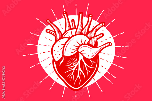 Anatomical Heart Illustration: A vibrant and detailed illustration of the human heart, set against a radiant pink background, evokes a sense of life, love, and strength. The heart, a symbol of life.