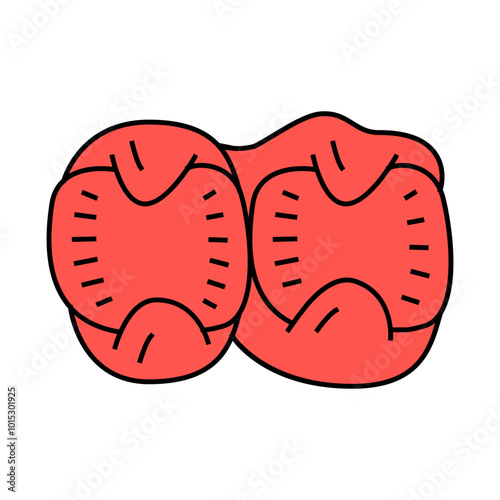 broiler stomachs line icon vector. broiler stomachs sign. isolated symbol illustration
