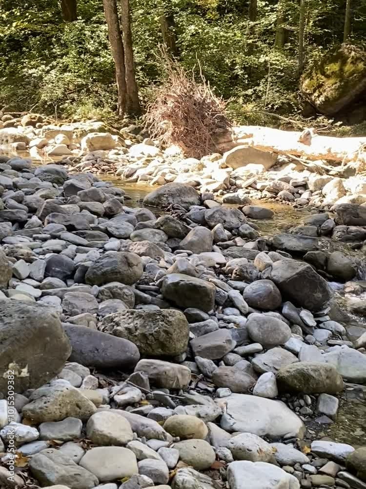 Wild mountain river flowing through stone boulders, Water clear stream river flowing in the forest. Wild mountain river flowing through stone boulders, Water clear stream river flowing in the forest.