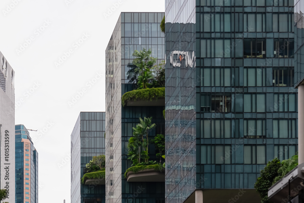 Modern urban skyline of tall sleek skyscrapers in Singapore. Glass-fronted reflecting surrounding cityscape. Buildings incorporate green roofs with lush vegetation growing on terraces and balconies