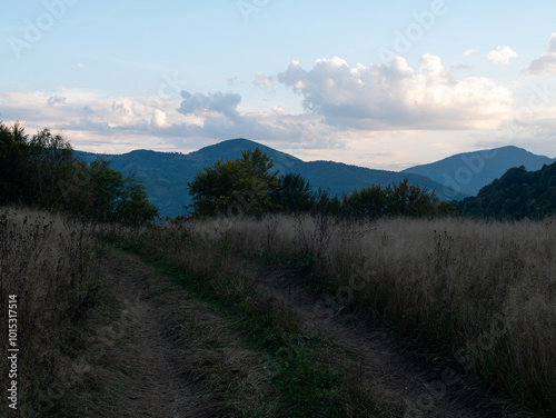 Evening village in Transcarpathia region scenic Carpathian mountains view Ukraine, Europe. Autumn countryside landscape fall spruce pine trees Eco Local tourism hiking Recreational activities Vacation