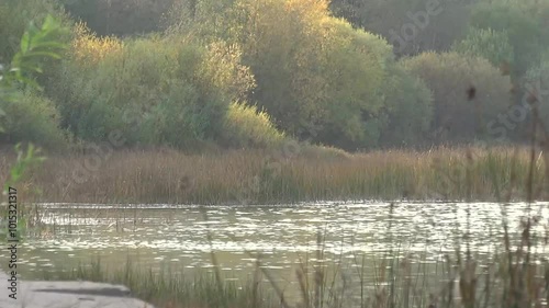 Autumn on the river. Trees on the shore. Wind. Ripples on the water, as a background for text or titles, a board for text. 