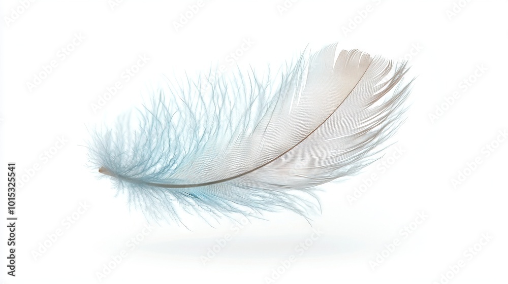 Obraz premium White feather on white background with reflective feather