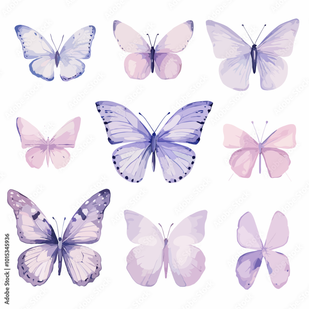 Butterflies vector set. Collection of butterflies isolated on white background. Butterflies vector set. Collection of butterflies isolated on white background.