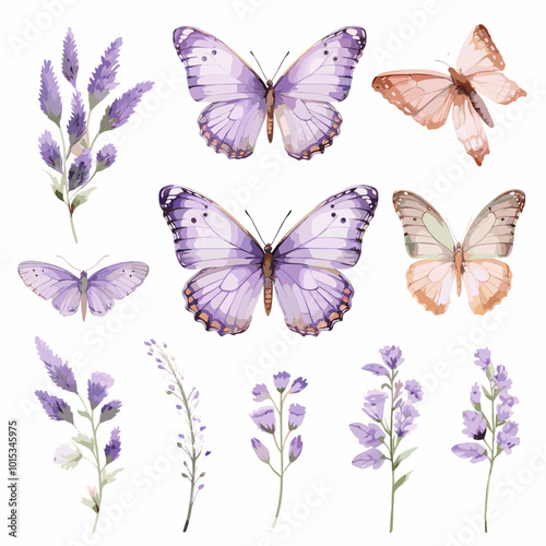 Set of watercolor butterflies and lavender flowers. Vector illustration.