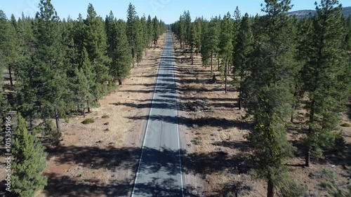 Drone flight down a long straight highway lined by evergreen trees