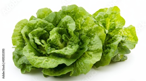 Isolated on white background green butter lettuce composition