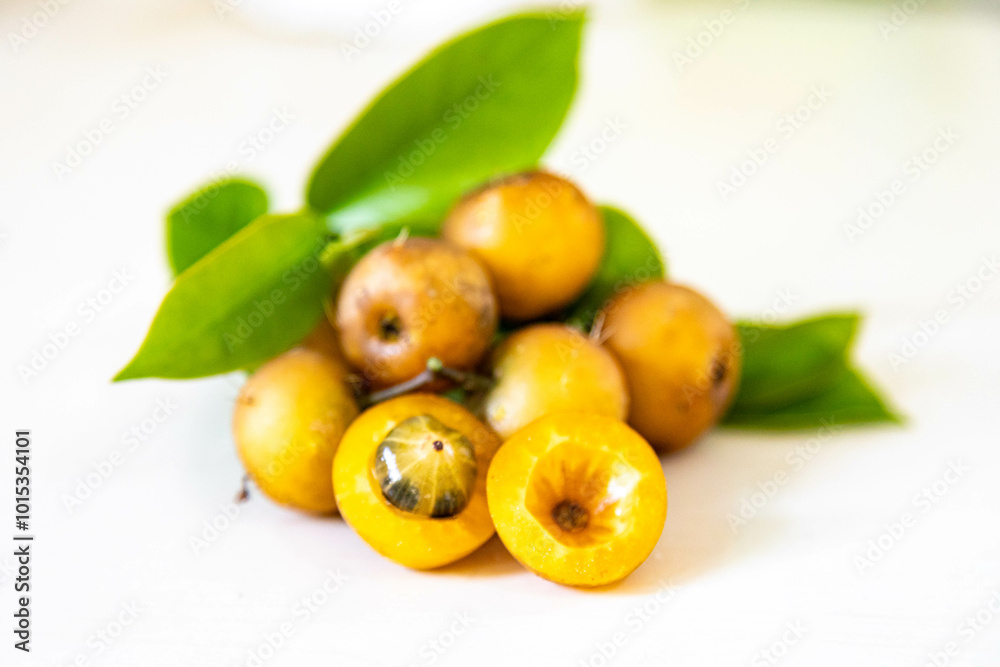 Obraz premium Ora-pro-nóbis Pereskia aculeata with ripe fruits and thorns on the surface