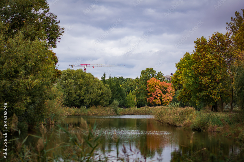 autumn in the park